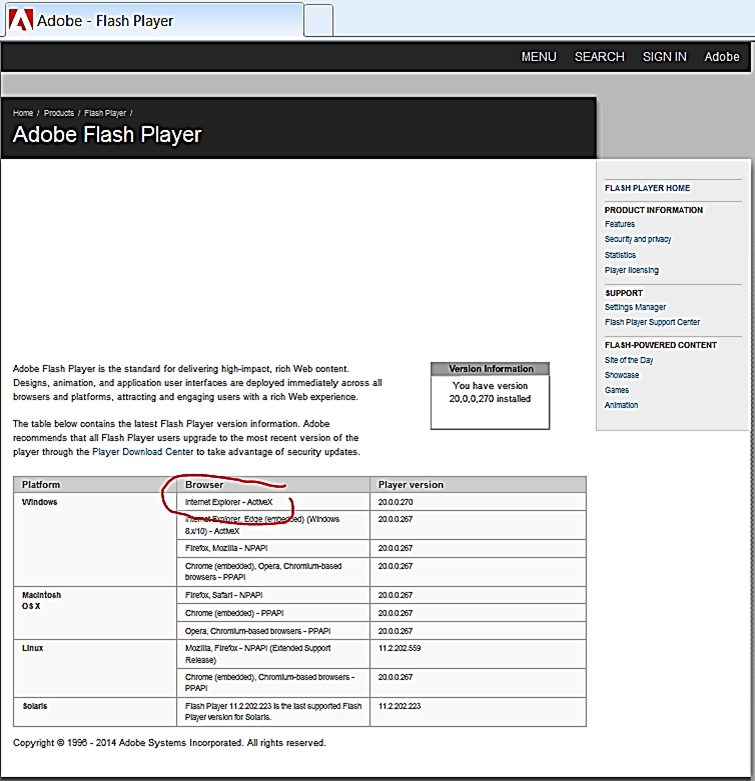 Adobe Flash Website in Internet Explorer